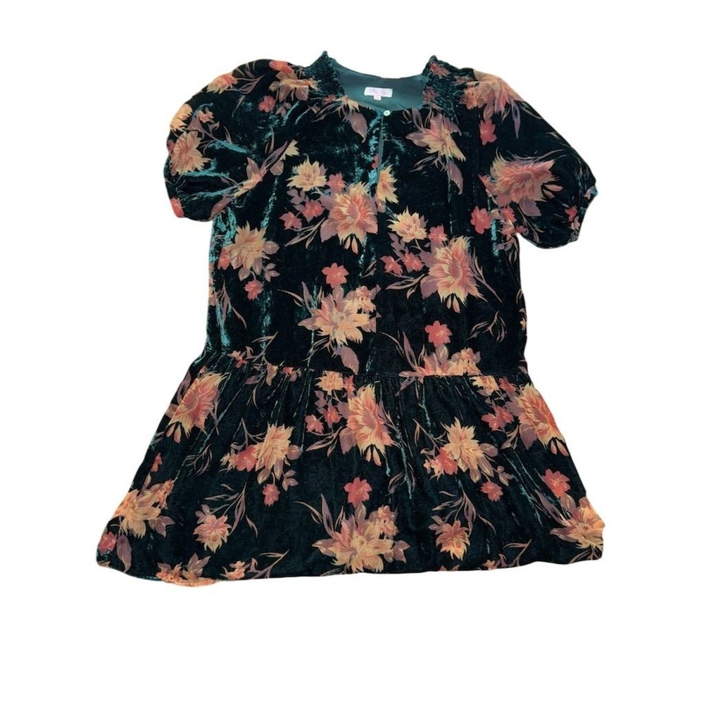 Pink Lily boutique S Velvet Floral Mini Dress‎ S/S grandmacore tiered flocked